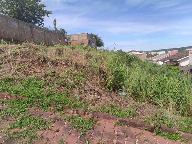 #111 - Terreno para Venda em Diamantino - MT