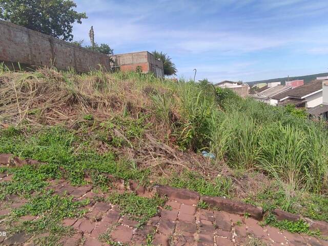 #111 - Terreno para Venda em Diamantino - MT